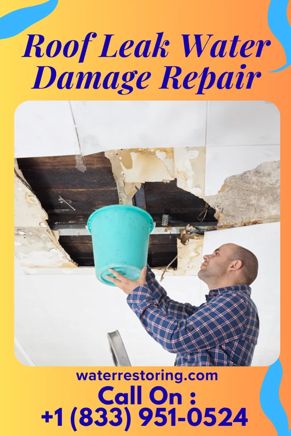 Roof Leak Water Damage Repair in Vassar, MI