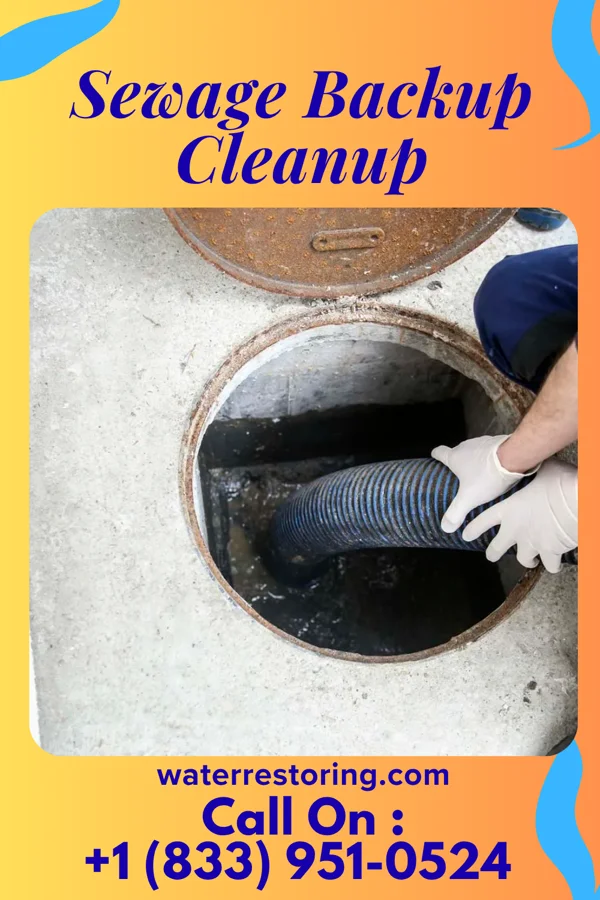 Sewage Backup Cleanup in Vassar, MI