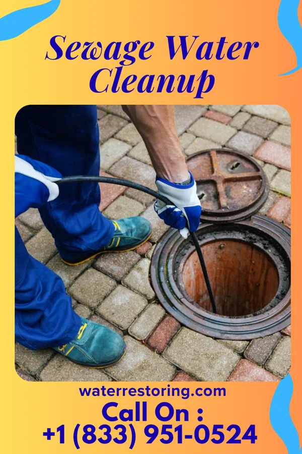 Sewage Water Cleanup in Vassar, MI