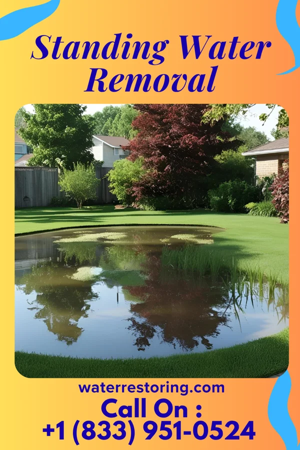 Standing Water Removal in Vassar, MI